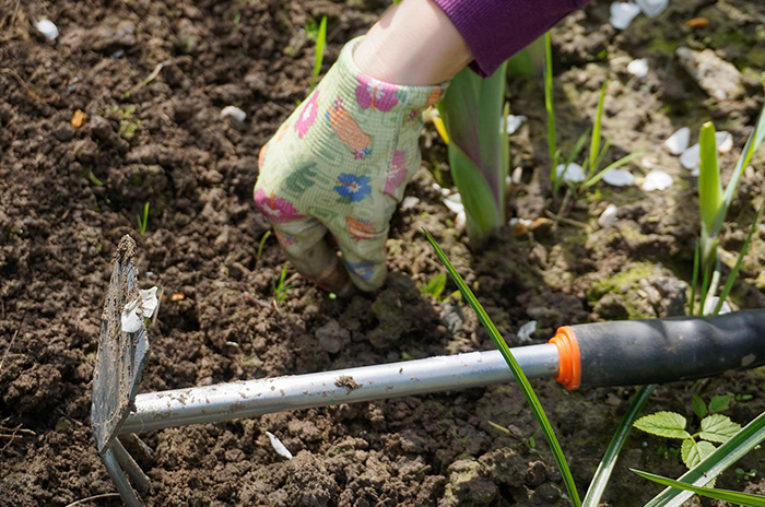 Seasonal home maintenance includes spring gardening